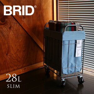 C[oXPbg LX^[ BRID ubh fj ܂肽 h[XNGAoXPbg LX^[t 28L X h[oXPbg k CeA  Vv p^ 