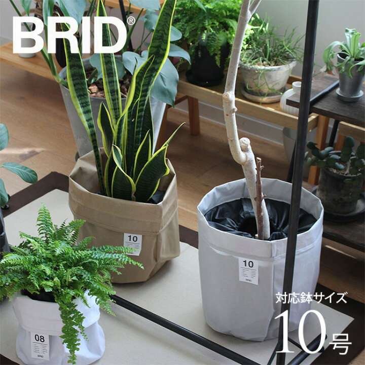 楽天市場】鉢カバー 大型 軽い BRID ブリッド Olika プランターカバー  
