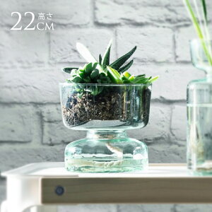 LSA International t[x[X Canopy Lms[ Self Water Planter H13cm  KX  KXx[X k kCeA t[AWg Vv nChJ`[ y