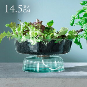 LSA International t[x[X CANOPY SELF WATERING PLANT  KX  Vv KXx[X k kCeA t[AWg k͔| nChJ`[ yz