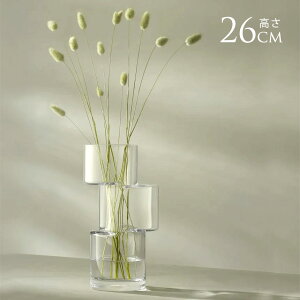 ybsOz LSA International t[x[X Tier eBA H26cm NA ԕr  KX  Vv KXx[X k kCeA t[AWg k͔| nCh