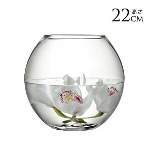 LSA International t[x[X FLOWER t[ROUND BOUQUET VASE ԕr H22cm  KX  Vv KXx[X k kCeA t[AWg k͔| nChJ`[