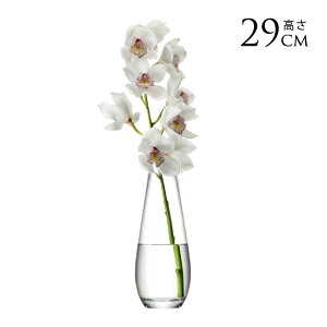 LSA International t[x[X FLOWER t[Tall Stem Vase ԕr H29cm  KX  Vv KXx[X k kCeA t[AWg k͔| nChJ`[ y