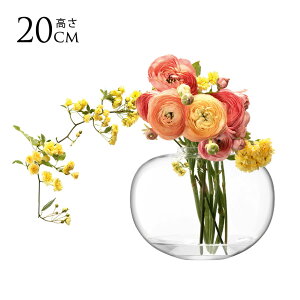 LSA International t[x[X FLOWER t[ Curved BOUQUET VASE ԕr H20cm  KX  Vv KXx[X k kCeA t[AWg k͔| nChJ`