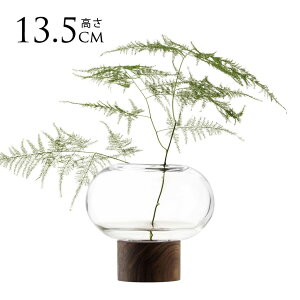 LSA International t[x[X Oblate Iu[g ԕr NA H13.5cm  KX  Vv KXx[X k kCeA t[AWg k͔| yz