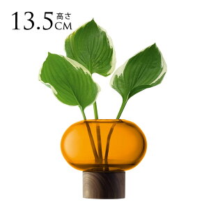 LSA International t[x[X Oblate Iu[g ԕr Ao[ H13.5cm  KX  Vv KXx[X k kCeA t[AWg k͔| yz