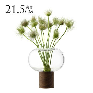 LSA International t[x[X Oblate Iu[g ԕr NA H21.5cm  KX  Vv KXx[X k kCeA t[AWg k͔| yz