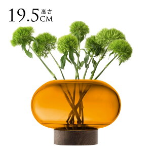 LSA International t[x[X Oblate Iu[g ԕr ^ Ao[ H19.5cm  KX  Vv KXx[X k kCeA t[AWg k͔| y