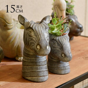 t[|bg ^  Aj}|bg V}E} CHANTAL ZEBRA STCY v^[   y k IuWF   CeA G AtJ  ACe ObY 