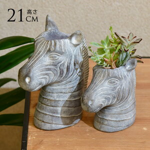 t[|bg ^  Aj}|bg V}E} CHANTAL ZEBRA LTCY v^[   y k IuWF   CeA G AtJ  ACe ObY 