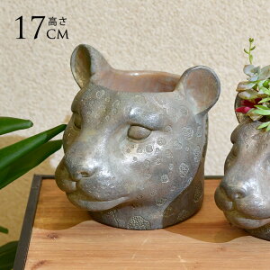 t[|bg ^  Aj}|bg Ip[h CHANTAL LEOPARD LTCY v^[   y k IuWF   CeA G ^ lR lR I qE At