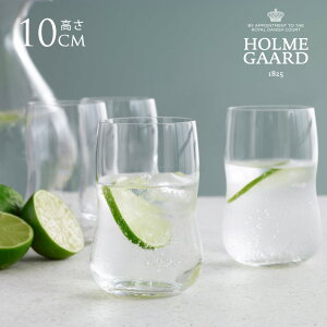 HOLMEGAARD zK[h FUTURE ^u[ 250ml 6 kG pB uh lC Rbv OX  NA v[g Mtg  KX  Lb` G yz