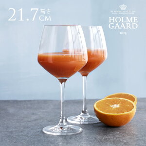 HOLMEGAARD zK[h PERFECTION@uS[j 590ml 6Zbg ԃCp COX kG pB uh CD CObY lC v[g Mtg   y