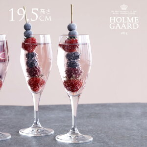 HOLMEGAARD zK[h PERFECTION@VpOX 320ml 6Zbg kG pB uh CD CObY lC v[g Mtg  KX  yz