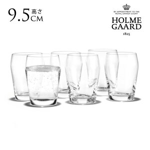 HOLMEGAARD zK[h PERFECTION EH[^[OX 230ml 6Zbg kG pB uh lC Rbv OX  NA v[g Mtg  KX  Lb` G 