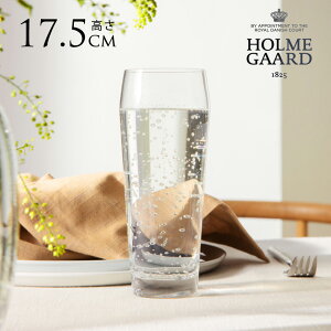 HOLMEGAARD zK[h PERFECTION EH[^[OX 450ml 6Zbg kG pB uh lC Rbv OX  NA v[g Mtg  KX  Lb` G 