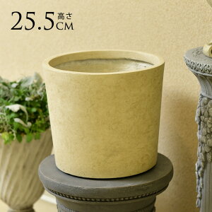 Jo[ 8p }S[ Xbg|bgJo[ 25.5cm v^[Jo[ 8  Jo[ O  Vv |bgJo[ zCg  yz