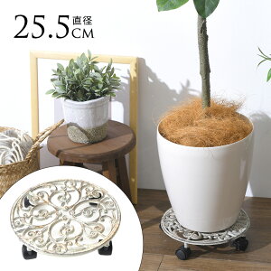 ԑ LX^[t vgL[ T[N a25cm LX^[ AeB[N  J[g ԗ  v^[ 5 6 7 8 yz