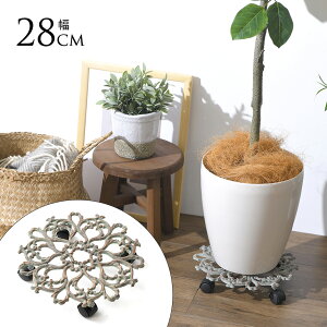 ԑ LX^[t vgL[ t[ a28cm LX^[ AeB[N  J[g ԗ  v^[ 5 6 7 8 yz