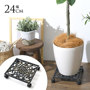 ԑ LX^[t vgL[ XNGA 24cm LX^[ AeB[N  J[g ԗ  v^[ 5 6 7 8 yz