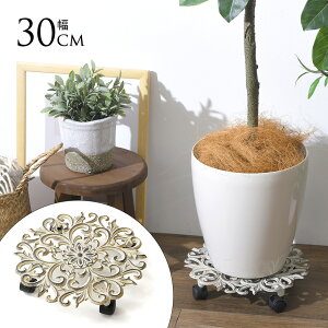 ԑ LX^[t vgL[ NX a30cm zCg LX^[ AeB[N  J[g ԗ  v^[ 5 6 7 8 yz