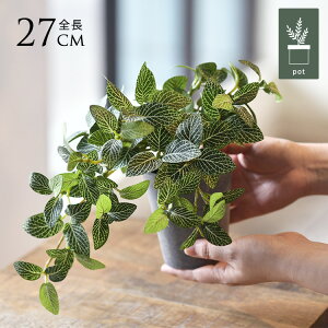 tFCNO[ t  tBgjA |bg ~j 3 lHϗtA A CeAO[    ^ A  {^jJ   tFCN lH A rO 