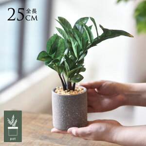 tFCNO[ t  U~tHA |bg ~j lHϗtA A CeAO[    ^ A  {^jJ   tFCN lH A rO 