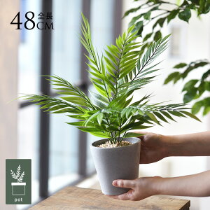 tFCNO[ t  e[uV |bg ~j 4 lHϗtA A CeAO[    ^ A  {^jJ   tFCN lH A rO 