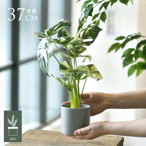 tFCNO[ t  Xe oGK[^ |bg ~j 3 lHϗtA A CeAO[    ^ A  {^jJ   tFCN lH A