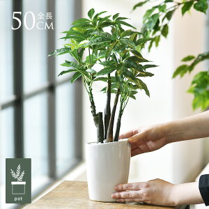 tFCNO[ t  OpL |bg lHϗtA A CeAO[    ^ A  {^jJ   tFCN lH A rO  Jt