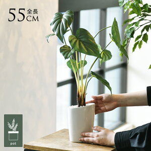 tFCNO[ t  OAJVA |bg lHϗtA A CeAO[    ^ A  {^jJ   tFCN lH A rO  