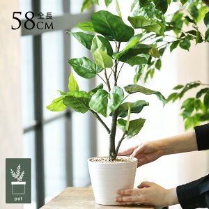 tFCNO[ t  Ex[^ |bg lHϗtA A CeAO[    ^ A  {^jJ   tFCN lH A rO  Jt