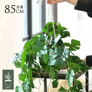 tFCNO[ t  qX nMO|bg ~j 4 Xe lHϗtA A CeAO[    ^ A  {^jJ   tFCN 