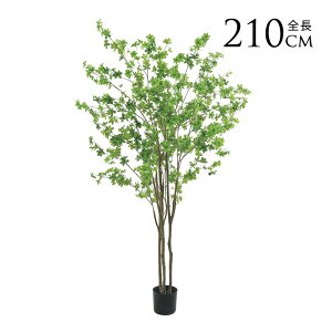 tFCNO[ A ϗtA t |bg hE_ccW 210cm lHϗtA ^ A   rO   { yz