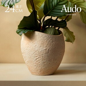 Jo[ k Aؔ   Audo Copenhagen Ih[ Ryn[Q v^Xv^[ 24cm v^[Jo[ ꌊȂ a  Jo[ a_ _ CeA  O[