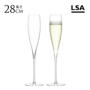 VpOX Zbg g[OX LSA SAVOY VpOX t[g 28cm 2_Zbg KX  C OX 2r rt uh CMX h  NA v[g M