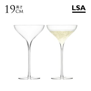 VpOX Zbg g[ LSA SAVOY SCR VpOX 2_Zbg KX  C OX 2r rt uh CMX h  NA NAKX v[g Mtg