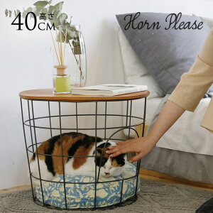 oXPbg e[u C[oXPbg Horn Please z[ v[Y WOODIRON oXPbge[u ybg L   k CeA [ JS  rO TChe[u y