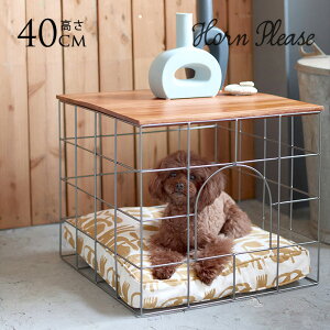 oXPbg e[u C[oXPbg Horn Please z[ v[Y WOODIRON oXPbge[u XNGA ybg L   k CeA [ JS  rO TChe[u