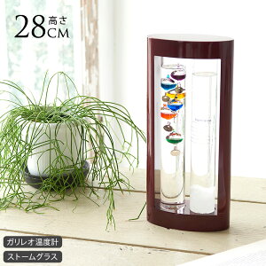 CeAG IuWF u   KIxvXg[OX 12.5cm×28cm CeA G VC C \ \z n D   rO ItBX  JtF TCG