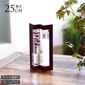 CeAG IuWF u   KIxvXg[OX 13cm×25cm CeA G VC C \ \z n D   rO ItBX JtF TCGX m