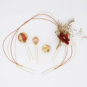 Ƙaʁ@ZbgUs FgargleiK[Oj