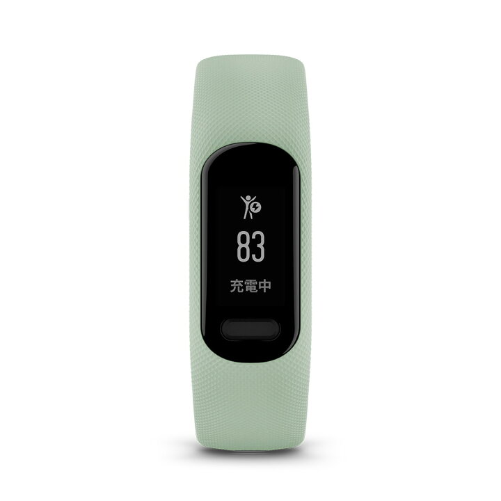 楽天市場】ガーミン（GARMIN） vivosmart 5 Mint S/M バンド型スマート 