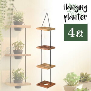 v^[X^h 4i 25cm Ȕ Ebhv^[ ACAv^[ Jo[ C_XgA ACA Vr[yzʔ eCXgy݁z V