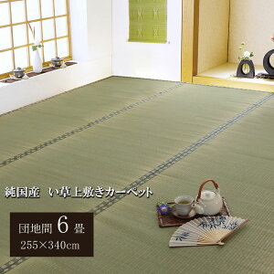 y匈ZSALEJÒz{ Y Y  ~ J[ybg oڐD  cn 6  255×340cm