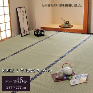 yH̃o[QSALEJÒz{ Y Y  ~ J[ybg D ~ Z 4.5  277×277cm