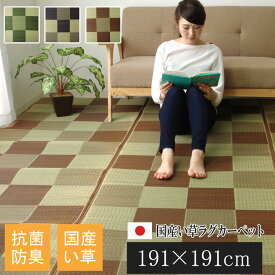 日本製 国産 純国産 い草 ラグカーペット ブロック2 ブラウン 約 191×191cm
