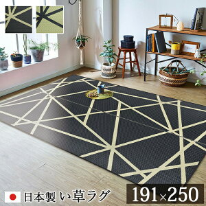 yԌ P2{zO  _ { Y Y Y { E^ R hL Rf i`  191×250cm