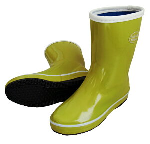 C fB[X   ̎q JC ʋ ʊw u[c h ނ F CG[ Vv z  wlSC }X^[h ƌC _ lAEghA K[fjO  