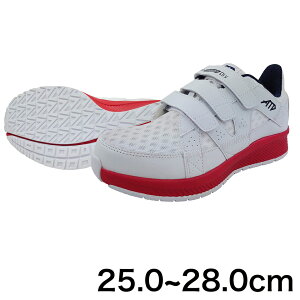 yԌ P2{zbV[Jbg}WbNZ[teBXj[J[  L Z[teB[V[Y SC Z[teB[Xj[J[ ƌC  Y fB[X bVXj[J